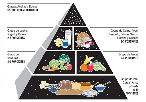 CREACIÓN DE LA PIRÁMIDE ALIMENTARIA