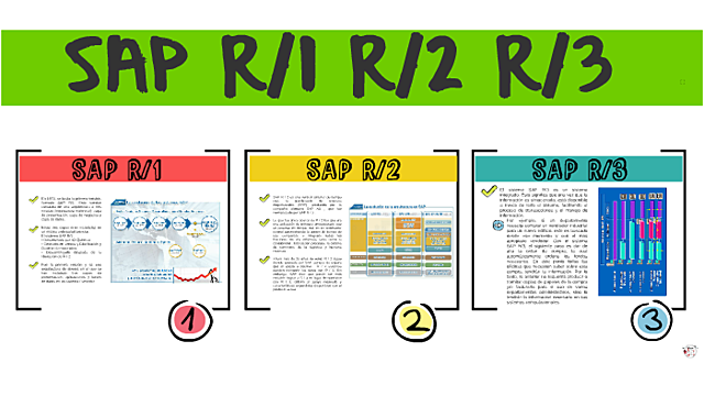 Características Solución SAP R/3
