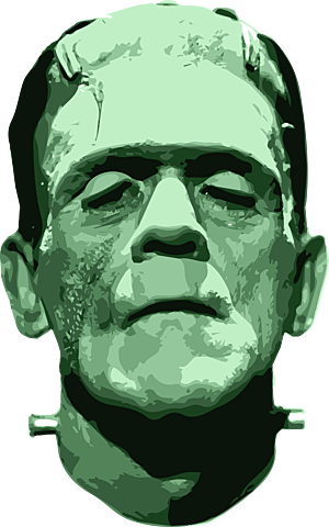 Mary Shelly's Frankenstein