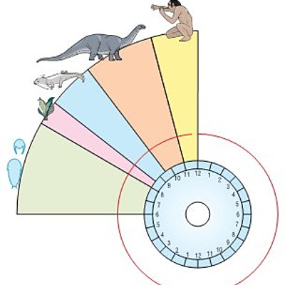 Timeline: ΕΞΕΛΙΞΗ