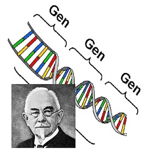 Words are coined: GEN