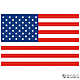 American flag backdrop~35 1048