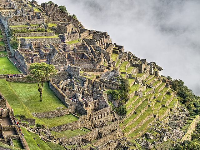 Incas