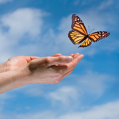 Timeline: μέχρι τη γέννηση