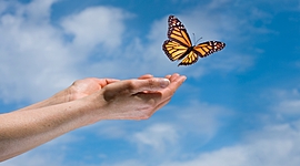 Timeline: μέχρι τη γέννηση