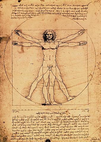 Creació de l'Home de vitruvi de Leonardo da Vinci