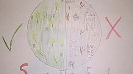 Timeline: my project