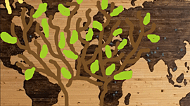 Timeline: წელიწადის დროების აღნიშვნა