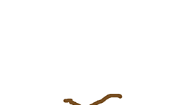 Timeline: პროექტის ეტაპები