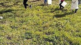 Timeline: etwinning project