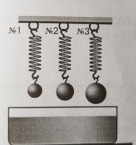 პრაქტიკული