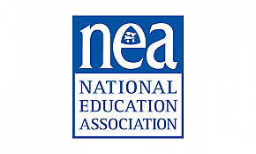 Developments of Professional Organizations