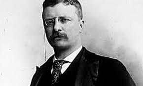 Teddy Roosevelt First becomes President