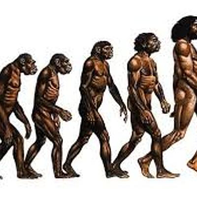 Timeline: HOMINIZACIÓN