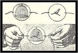 ilusion de movimiento traimatropo   piter mark roget     jhon ayiton