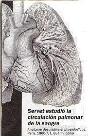 Servet descobreix la circulació pulmonar