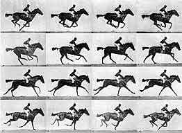 caballo corriendo atraves de fotografias