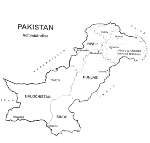 Osama bin Laden was killed in Pakistan