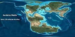 PERIODO JURÁSICO MEDIO