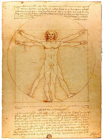 Creació de l'Home de Vitruvi de Leonardo da Vinci