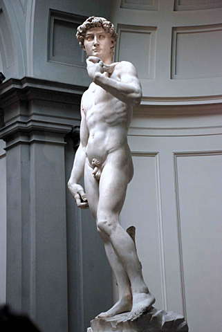 Creació del David de Michelangelo Buonarroti