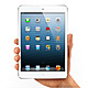 25472 34736 ipadmini1 l