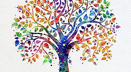 Timeline: MEJORES MOMENTOS DE MI VIAJE-DIANA ROCÍO MARCELO