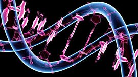Timeline: HISTORIA DE BIOLOGÍA MOLECULAR                                                                              por jhon anderson jimenez