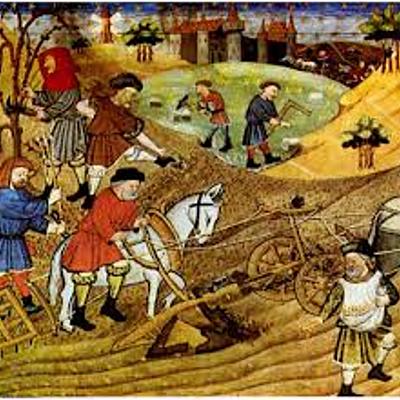 Timeline: EDAD MEDIA