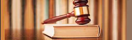 Bases y Leyes Constitucionales de la República Mexicana