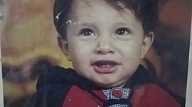 Timeline: vida nueva