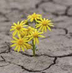 The start of junior year