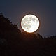 Full moon