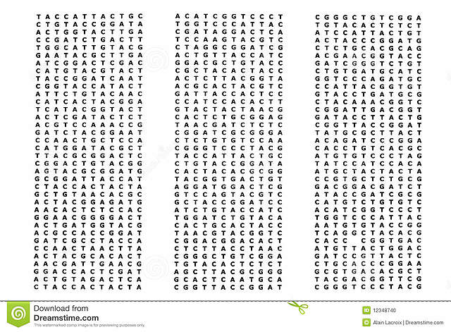 TERMINA PROYECTO GENOMA HUMANO