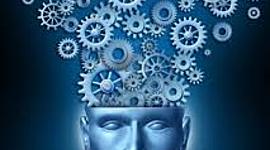 Timeline: TEORÍAS DE LA PERSONALIDAD