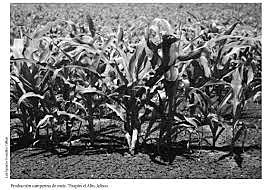 En la gestión de Adolfo Lopez Mateos