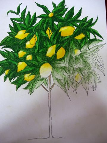 The Tree (resolution 1)