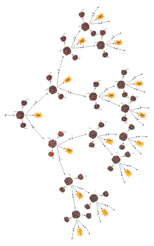 La reacción en cadena
