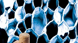 Timeline: LINEA DE TIEMPO DE LA HISTORIA CELULAR, hecha por: Mayvi Villagarcía 4C