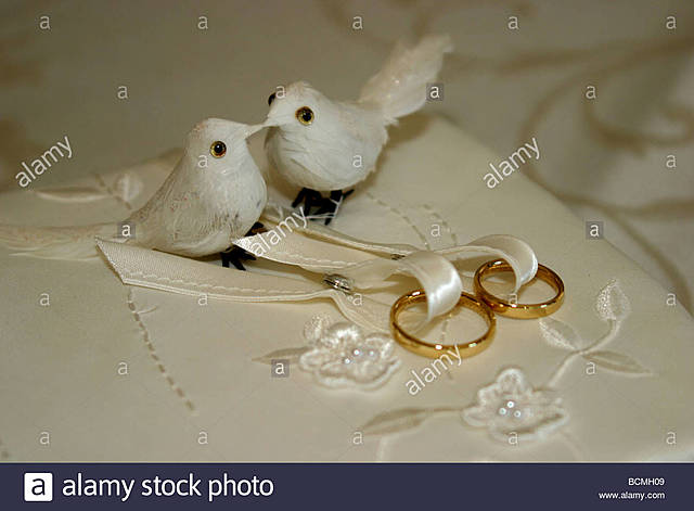 una propuesta sorpresa