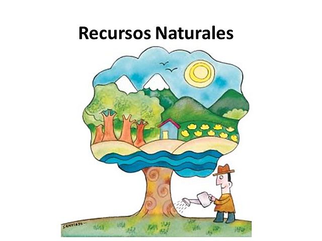 LOS RECURSOS NATURALES timeline | Timetoast timelines