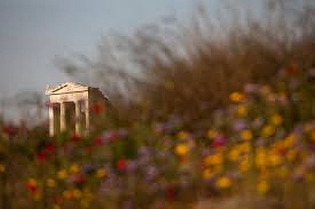 Ιγγλέση Μαρία