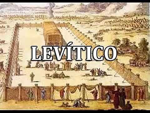 Levítico (Israel)