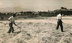 Actividad más importante