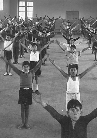 Manual francés introducido a Colombia.