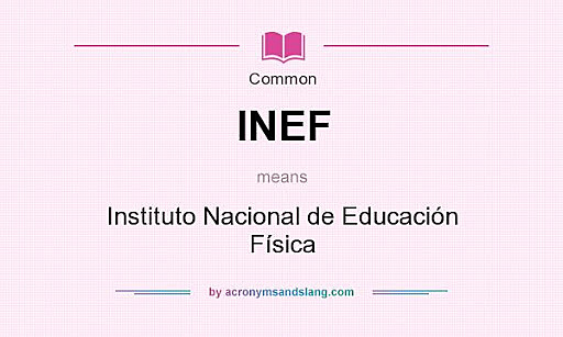 Creación del INEF