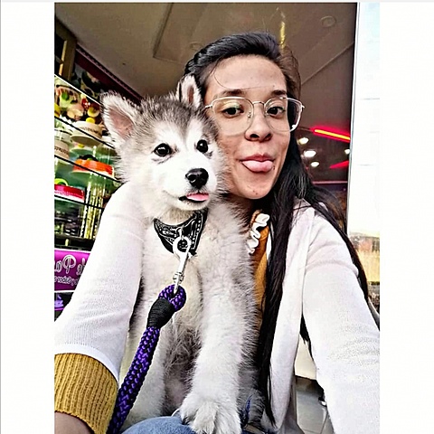 El día en que me regalaron a mi perro