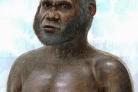 Tracce del primo uomo (Sinanthropus pekinensis)
