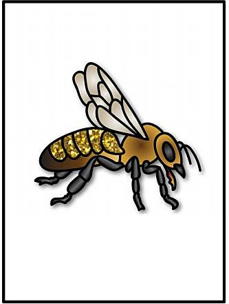 Ενήλικη Μέλισσα