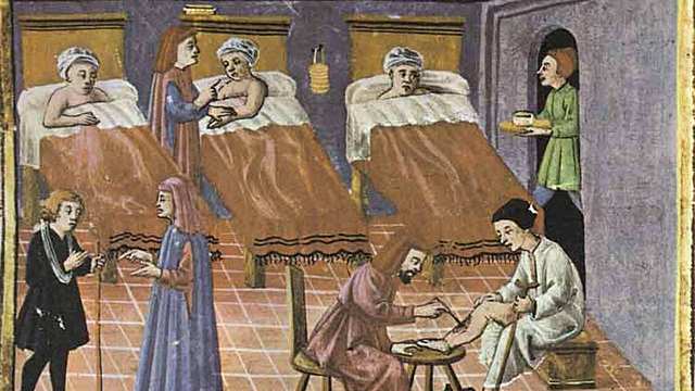 DESCUBRIMIENTO DE LAS PRIMERAS ENFERMEDADES VXIII